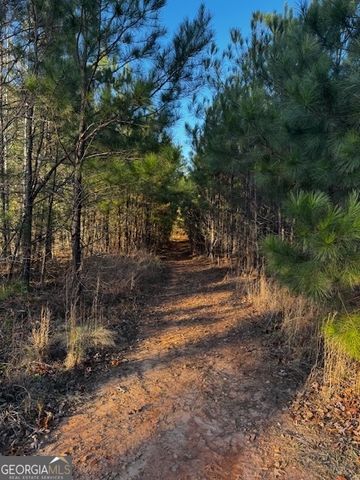 28.59 ACRES in Henry County, Jackson, GA 30233