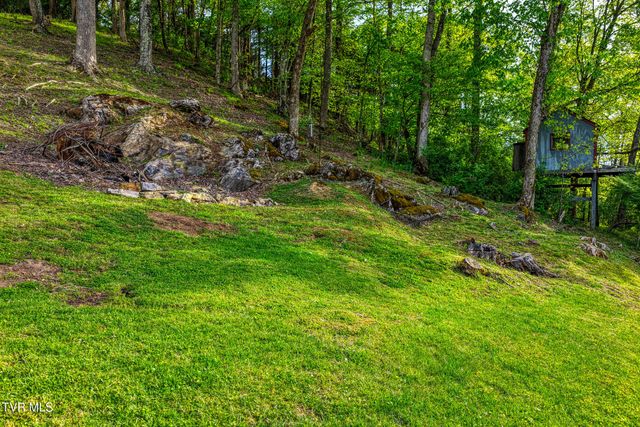 820 South Sherbrooke Circle, Mount Carmel, TN 37645