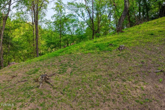 820 South Sherbrooke Circle, Mount Carmel, TN 37645