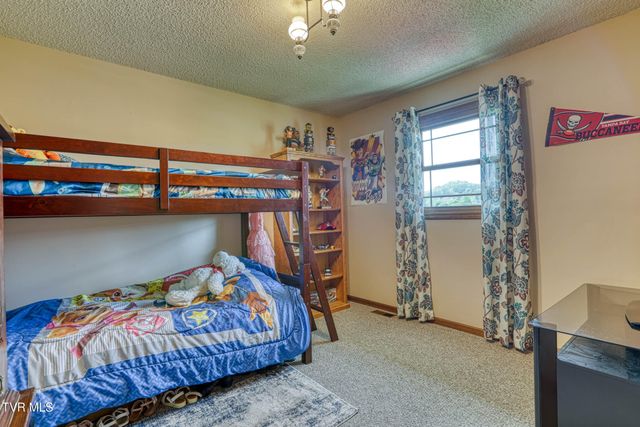 820 South Sherbrooke Circle, Mount Carmel, TN 37645