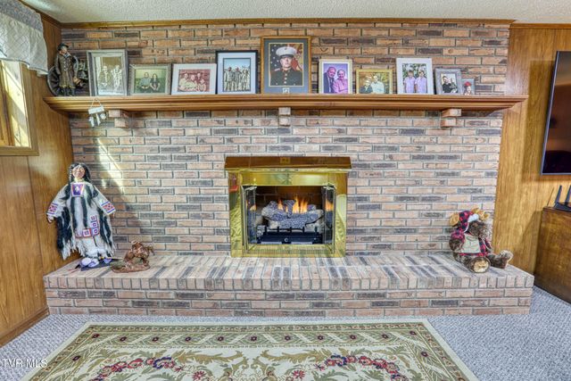 820 South Sherbrooke Circle, Mount Carmel, TN 37645
