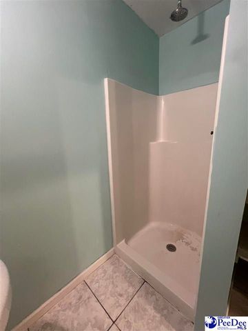 311 W Baptist St, Marion, SC 29571