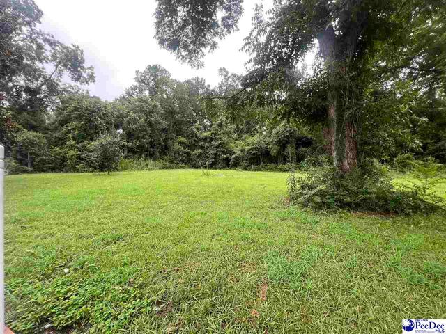 311 W Baptist St, Marion, SC 29571