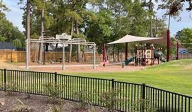 29031 Elmwood Drive, Shenandoah, TX 77381