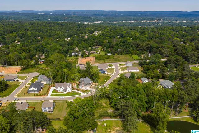 3389 CHANDLER WAY, Hoover, AL 35226