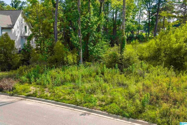 3389 CHANDLER WAY, Hoover, AL 35226