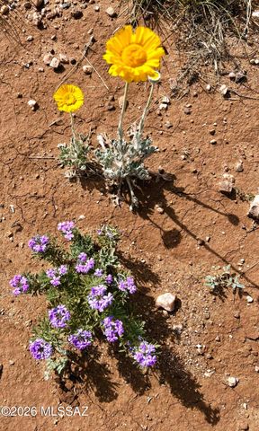 653 E Border Road, Bisbee, AZ 85603