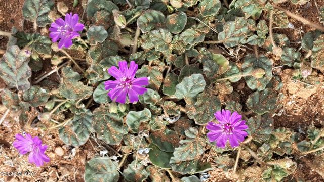 653 E Border Road, Bisbee, AZ 85603