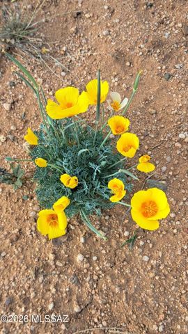 653 E Border Road, Bisbee, AZ 85603