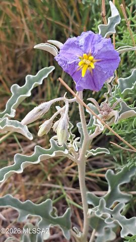 653 E Border Road, Bisbee, AZ 85603