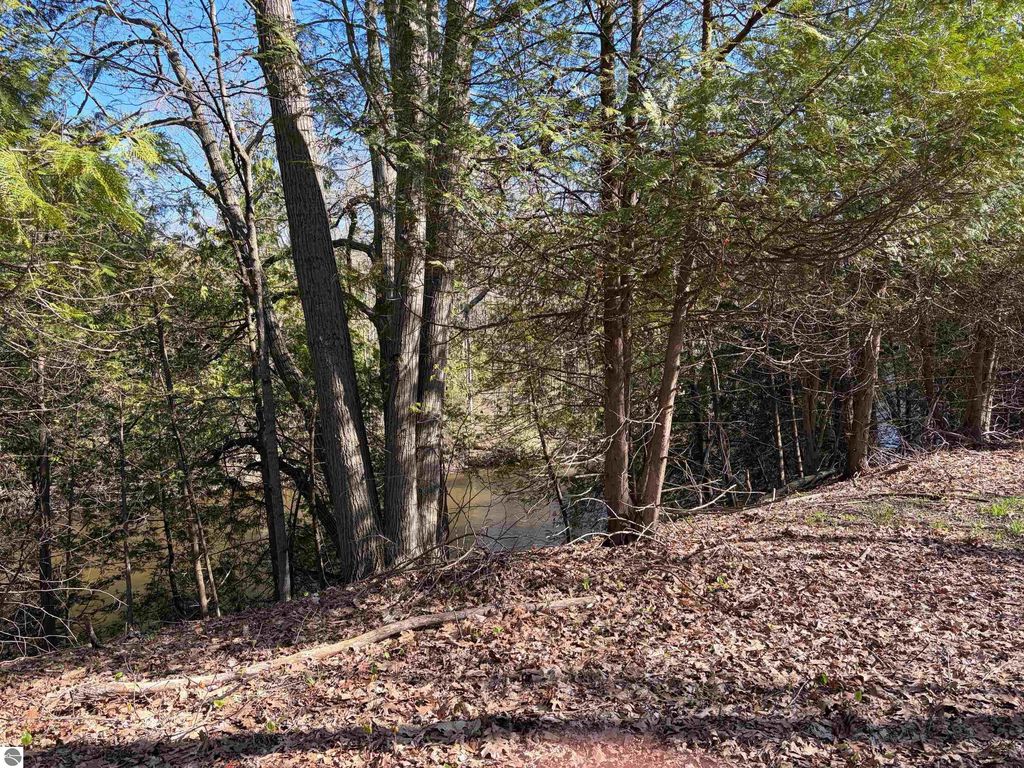 Image 3 of property listing at TBD S Loomis Road, Mt Pleasant, MI 48858