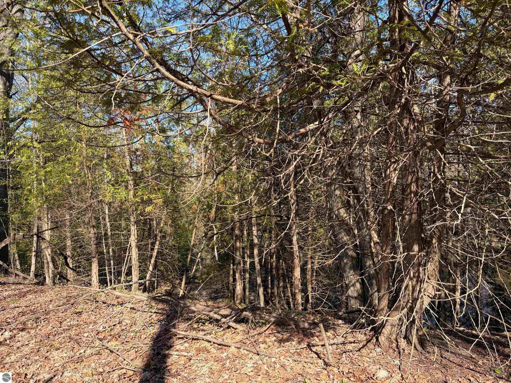 Image 4 of property listing at TBD S Loomis Road, Mt Pleasant, MI 48858