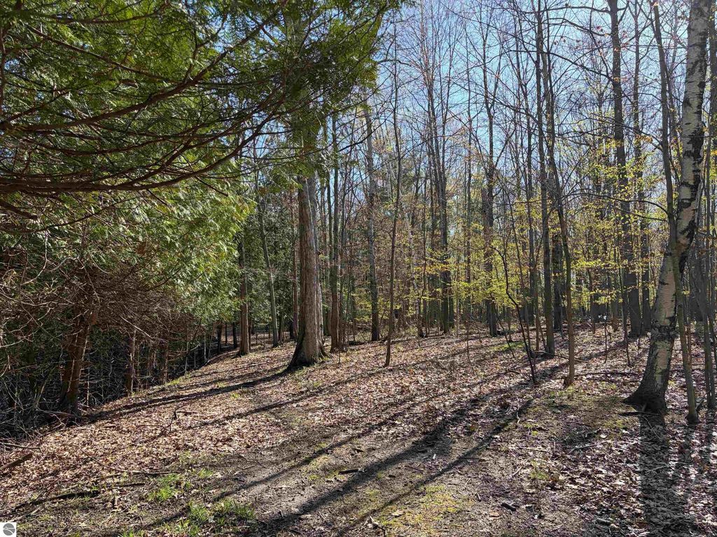 Image 5 of property listing at TBD S Loomis Road, Mt Pleasant, MI 48858