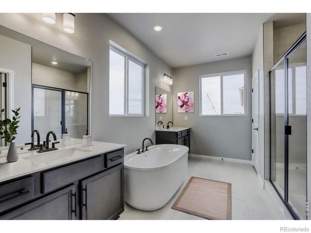 662 Noola Street, Windsor, CO 80550