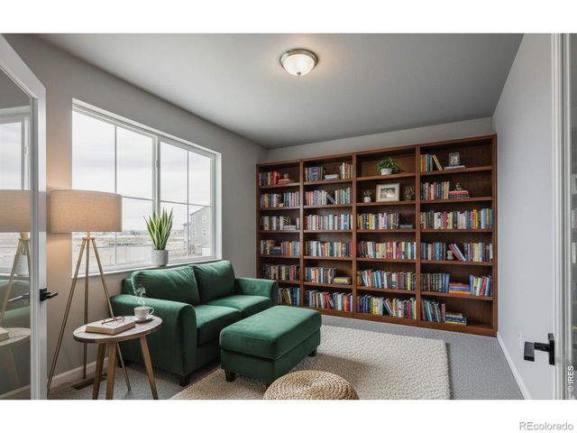 662 Noola Street, Windsor, CO 80550