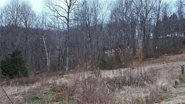 168 Kinderhook Ridge Road, Newport, OH 45768