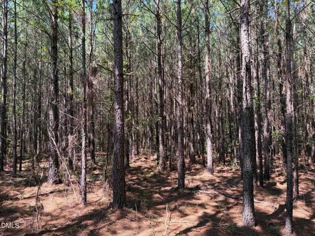 4093 Nc Highway 42 Road, Goldston, NC 27252
