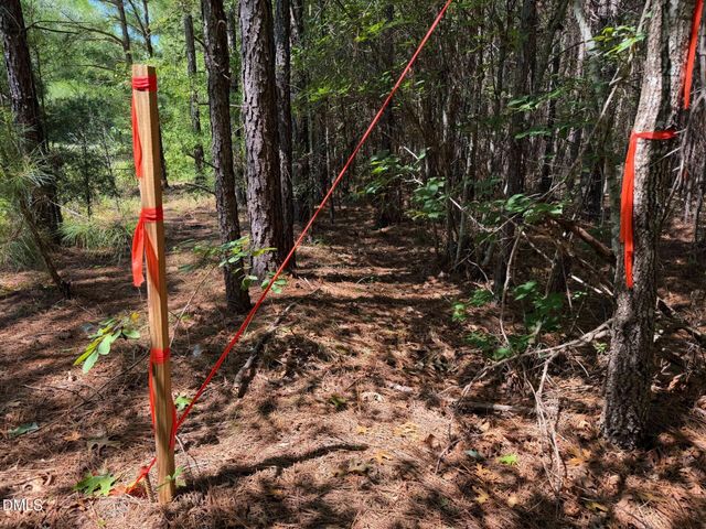 4093 Nc Highway 42 Road, Goldston, NC 27252