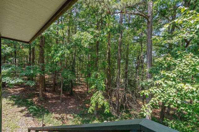 10 Balenciaga Way, Hot Springs Village, AR 71909