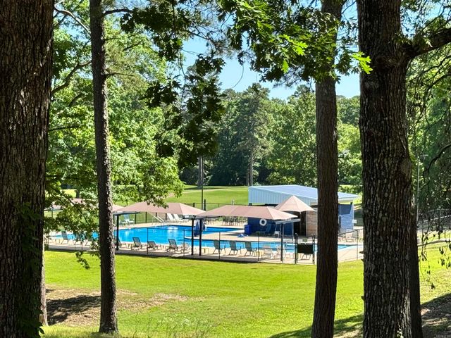 10 Balenciaga Way, Hot Springs Village, AR 71909