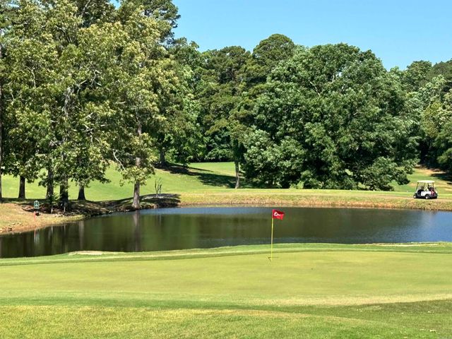 10 Balenciaga Way, Hot Springs Village, AR 71909