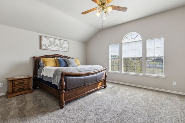 600 Lake Shadow Drive, Lavon, TX 75166