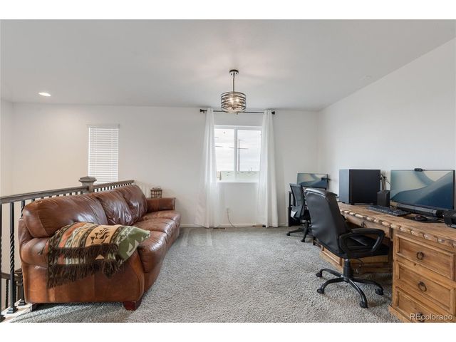 443 Blue Teal Dr, Castle Rock, CO 80104