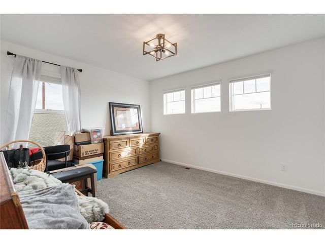 443 Blue Teal Dr, Castle Rock, CO 80104