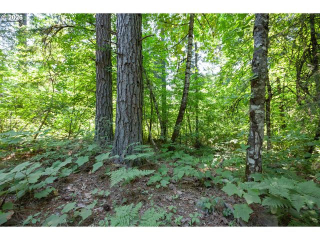 3765 DEE Hwy, Hood River, OR 97031