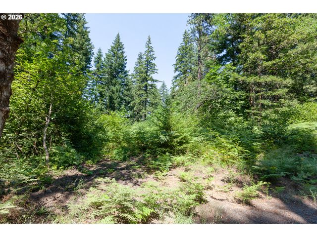 3765 DEE Hwy, Hood River, OR 97031