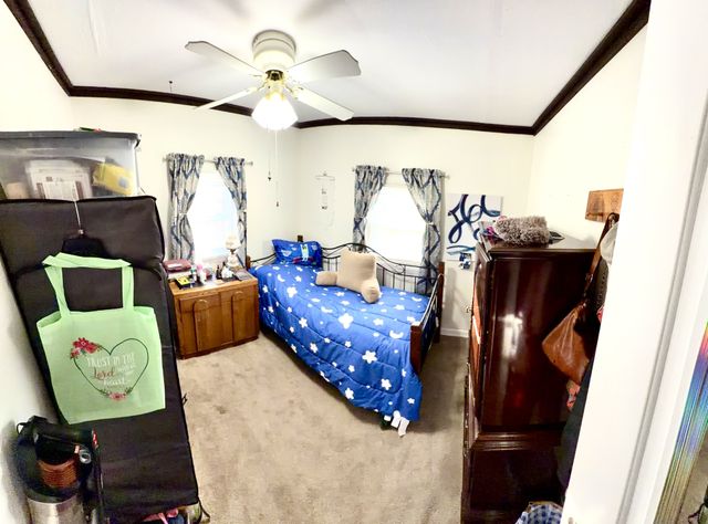 245 Powell Dr, Springville, TN 38256