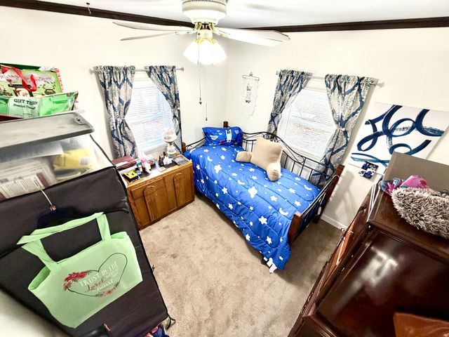 245 Powell Dr, Springville, TN 38256