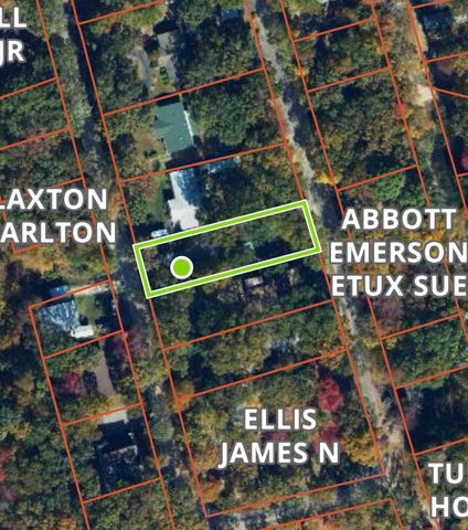 245 Powell Dr, Springville, TN 38256