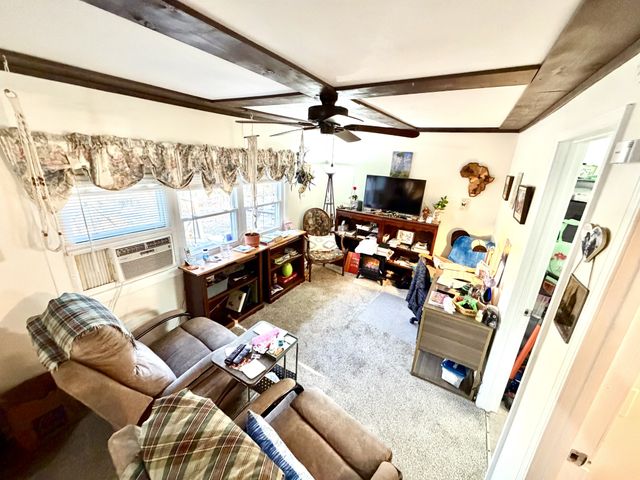 245 Powell Dr, Springville, TN 38256