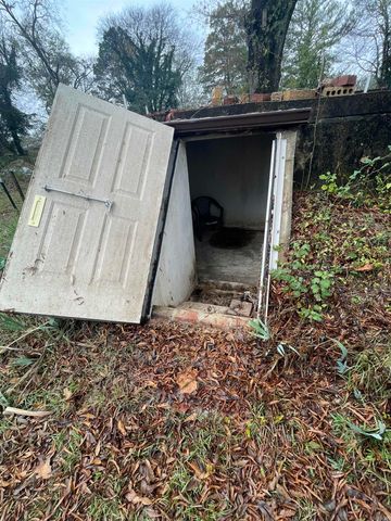 205 N Elm Street, Prattsville, AR 72129