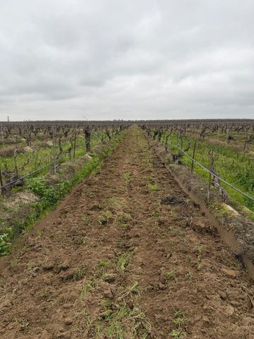 6837 S Granada, Madera, CA 93637