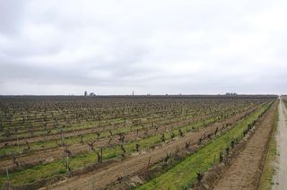 6837 S Granada, Madera, CA 93637