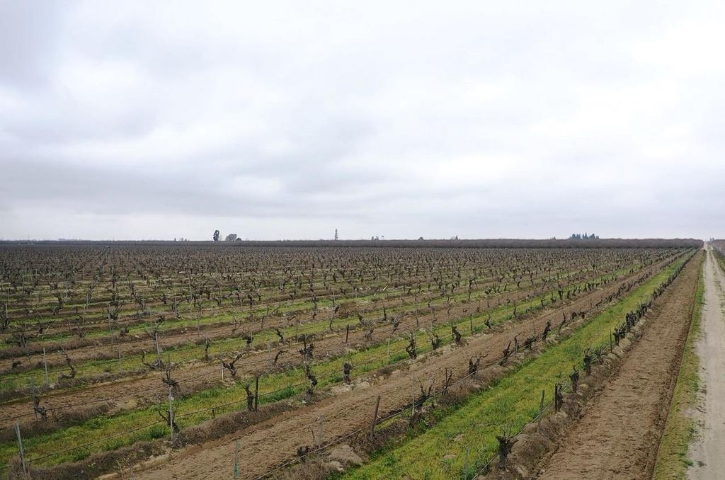 6837 S Granada, Madera, CA 93637