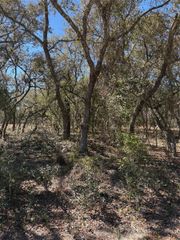 TBA SE SE 132ND COURT COURT, Dunnellon, FL 34431