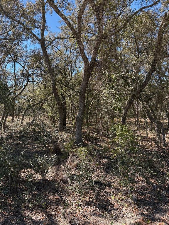 TBA SE SE 132ND COURT COURT, Dunnellon, FL 34431