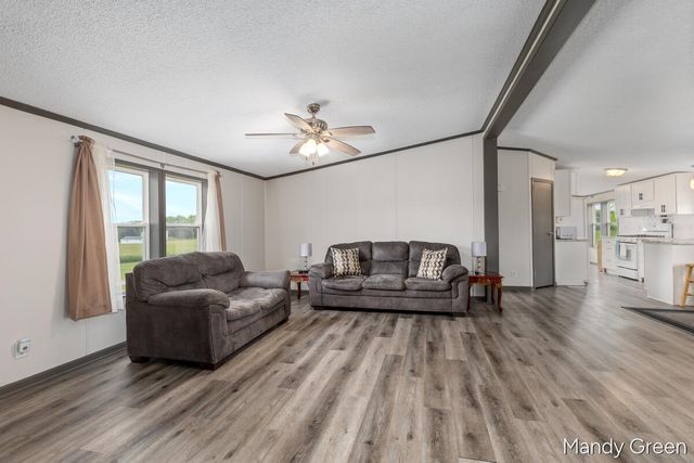 1007 Dildine Road, Easton Twp, MI 48846