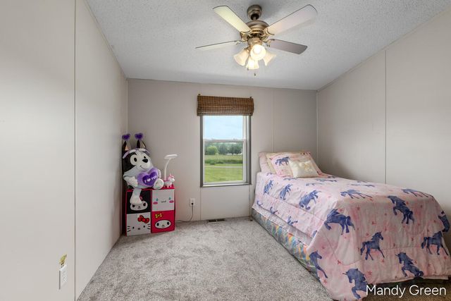 1007 Dildine Road, Easton Twp, MI 48846