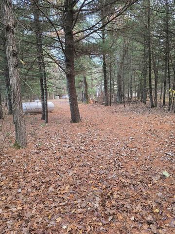 1129 Gale Avenue, Wisconsin Dells, WI 53965