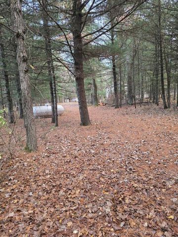 1129 Gale Avenue, Wisconsin Dells, WI 53965