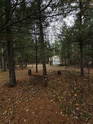 1129 Gale Avenue, Wisconsin Dells, WI 53965