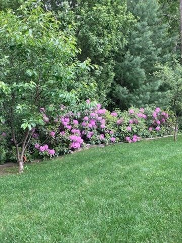 20 Nolan Lane, Agawam, MA 01030