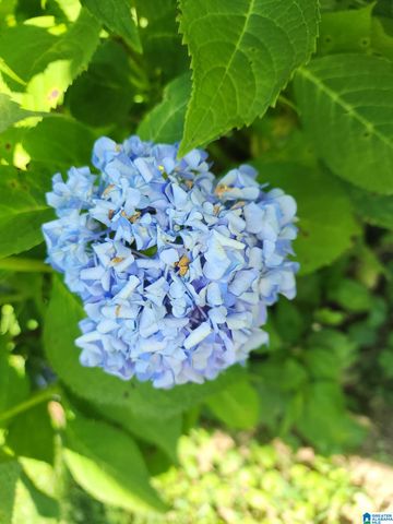 9454 SHIPPTOWN ROAD, Hayden, AL 35063