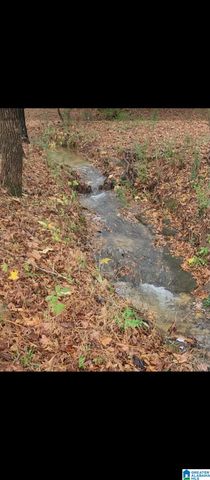 9454 SHIPPTOWN ROAD, Hayden, AL 35063