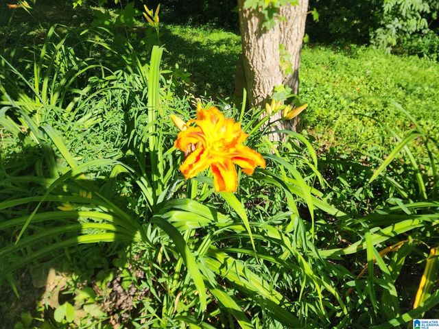 9454 SHIPPTOWN ROAD, Hayden, AL 35063