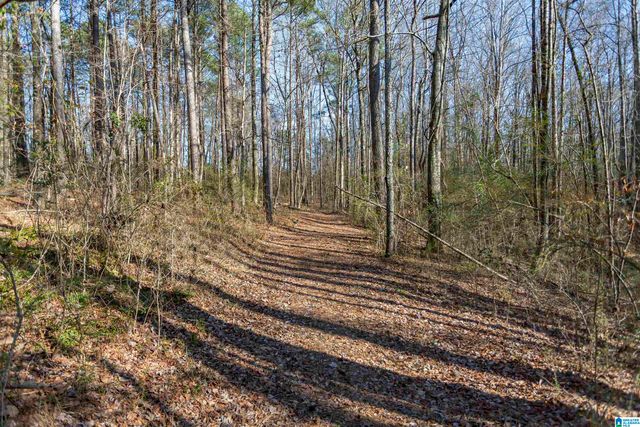 9454 SHIPPTOWN ROAD, Hayden, AL 35063